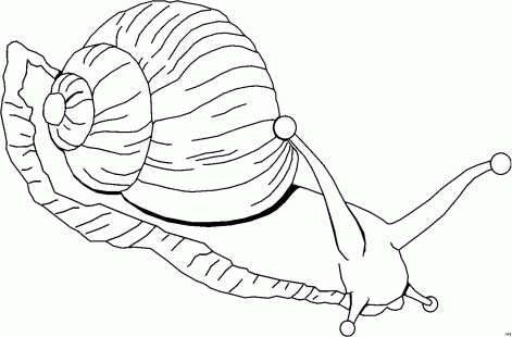 csiga